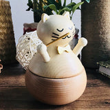 Animals Musician Music Box