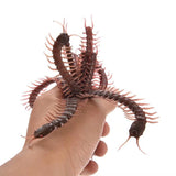 Scary Centipede Trick Toy