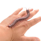 Scary Centipede Trick Toy