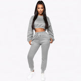 Women Clothing Wholesale Long Sleeve Clothes Women Solid Color Sets Thick Tracksuit Women Crop Top 2 Piece Sweat Pants Set