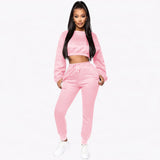 Women Clothing Wholesale Long Sleeve Clothes Women Solid Color Sets Thick Tracksuit Women Crop Top 2 Piece Sweat Pants Set