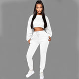 Women Clothing Wholesale Long Sleeve Clothes Women Solid Color Sets Thick Tracksuit Women Crop Top 2 Piece Sweat Pants Set