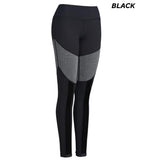 AQ1031 Women's Calypso Mesh Legging