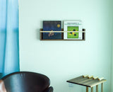 Modern Magazine & Vinyl Wall Rack