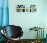 Modern Magazine & Vinyl Wall Rack