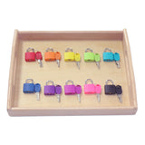 Montessori Wooden Tray Lock Set Board for Children