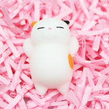 Squishy toys colorful change Antistress Ball cat/seal/fox/pig/sun Squeeze cute