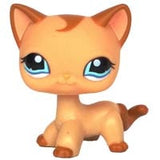LPS CAT Pet Shop Toys Rare Stands Little Short Hair Kitten Pink #2291 Grey #5 Black #994 Old Original Kitty  Figure Collection
