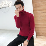Winter New Men's Turtleneck Sweaters Black Sexy Brand Knitted Pullovers