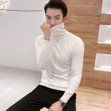 Winter New Men's Turtleneck Sweaters Black Sexy Brand Knitted Pullovers