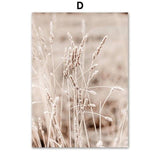 Dried Flower Plant Beige Reed Wheat Nordic Posters And Prints Wall Art Canvas Painting Wall Pictures For Living Room Home Decor - shopwishi 