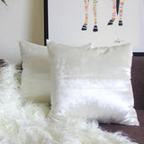 2 Packs White Decorative Cushions Covers Cases for Sofa Bed Couch Modern Luxury Velvet Home Throw Pillows Covers Silver Green