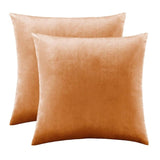 2 Packs White Decorative Cushions Covers Cases for Sofa Bed Couch Modern Luxury Velvet Home Throw Pillows Covers Silver Green