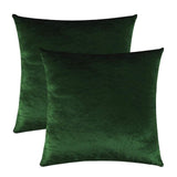 2 Packs White Decorative Cushions Covers Cases for Sofa Bed Couch Modern Luxury Velvet Home Throw Pillows Covers Silver Green