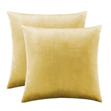 2 Packs White Decorative Cushions Covers Cases for Sofa Bed Couch Modern Luxury Velvet Home Throw Pillows Covers Silver Green