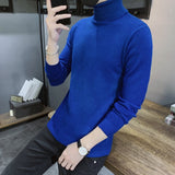 Winter New Men's Turtleneck Sweaters Black Sexy Brand Knitted Pullovers