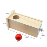 Toddler Wood Montessori Match Permanent Ball Box Round Rectangular Box Coin Box Toys for Children Unisex Baby 12 Month Boys Girl