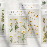 Journamm 12 Designs Natural Daisy Clover Japanese Words Stickers Transparent PET Material Flowers Leaves Plants Deco Stickers
