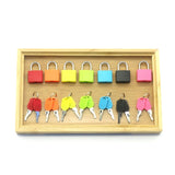 Montessori Wooden Lock Set Sensory Toy for Children