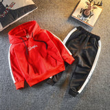 Spring Baby Casual Tracksuit Children Boy Girl Cotton Zipper Jacket Pants 2Pcs/Sets Kids Leisure Sport Suit Infant Clothing