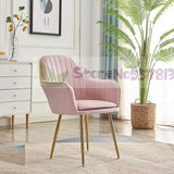 Nordic ins net red restaurant dining chair light luxury minimalist home cafe back makeup nail stool desk chair - shopwishi 