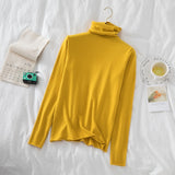 Turtleneck Women Sweaters 2020 Autumn Winter Sweater Knitted Pullover Long Sleeve Woman Sweaters Tops Soft Jumper Pull Femme