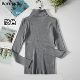 Bornladies Basic Knitted Autumn Turtleneck Sweaters for Women