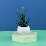 Mini Artificial Bonsai Aloe Plants-Home Garden Decor