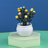 Mini Artificial Bonsai Aloe Plants-Home Garden Decor