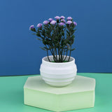 Mini Artificial Bonsai Aloe Plants-Home Garden Decor