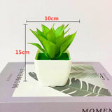 Mini Artificial Bonsai Aloe Plants-Home Garden Decor