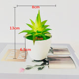 Mini Artificial Bonsai Aloe Plants-Home Garden Decor