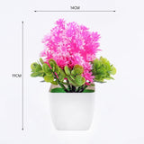 Mini Artificial Bonsai Aloe Plants-Home Garden Decor