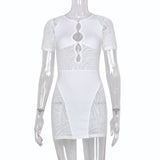 Sexy Zebra Print Cut Out Mesh Transparent Women Mini Dress for Beach Holiday Night Club Goth Party Bodycon Pencil Shorts Dresses