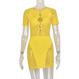 Sexy Zebra Print Cut Out Mesh Transparent Women Mini Dress for Beach Holiday Night Club Goth Party Bodycon Pencil Shorts Dresses