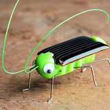 Baby's Solar Powered Grasshopper Toy