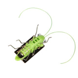 Baby's Solar Powered Grasshopper Toy