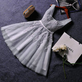 Elegant Pearl Pink Prom Dresses 2019 Sexy Prom Dress Short V Neck Appliques Beading Lace Up Knee-Length Graduation Party Gowns