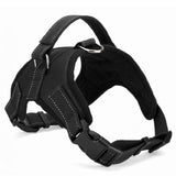 dog harness collar