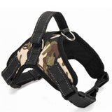 dog harness collar